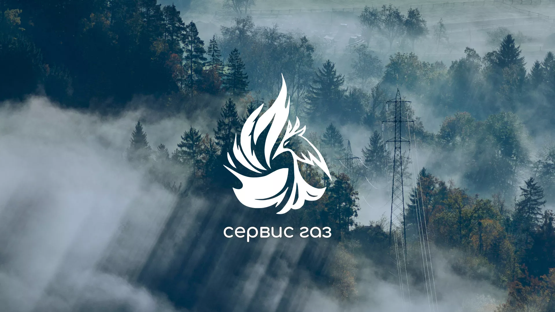 Создание сайта компании «Сервис газ» в Бирюсинске