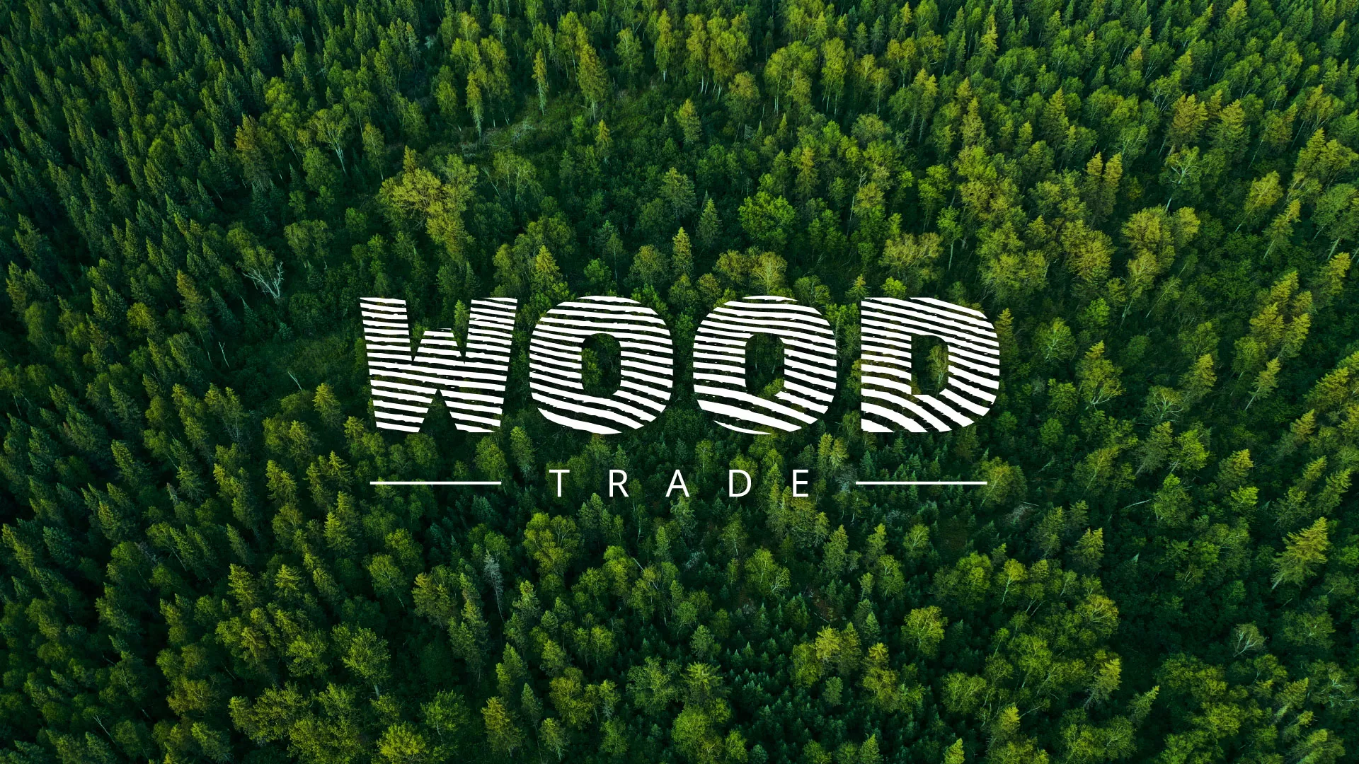 Разработка интернет-магазина компании «Wood Trade» в Бирюсинске