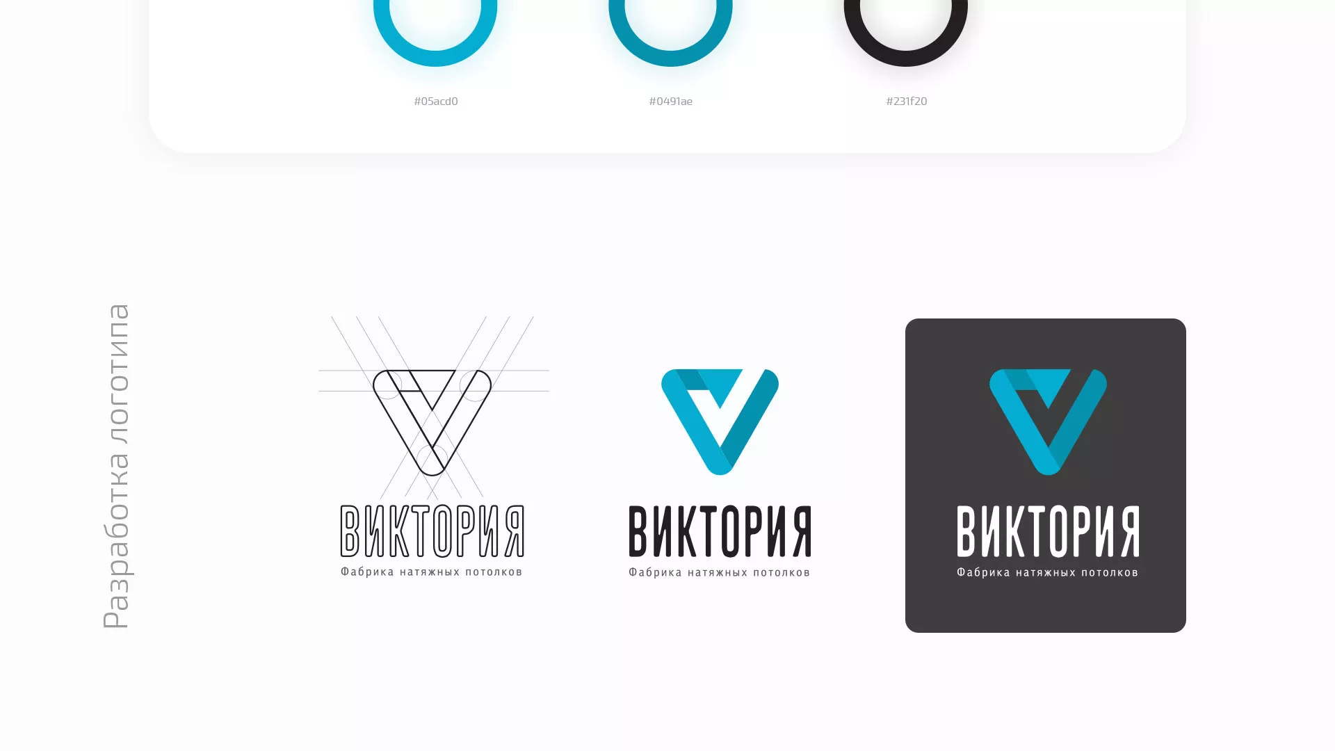 Разработка фирменного стиля компании по продаже и установке натяжных потолков в Бирюсинске