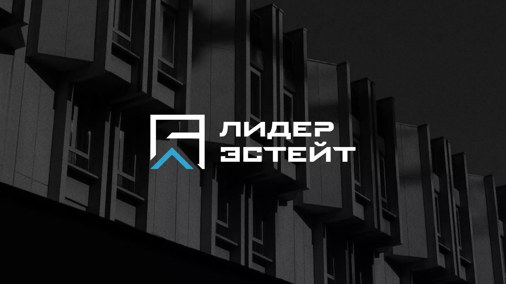 Разработка логотипа агентства недвижимости «Лидер Эстейт» в Бирюсинске